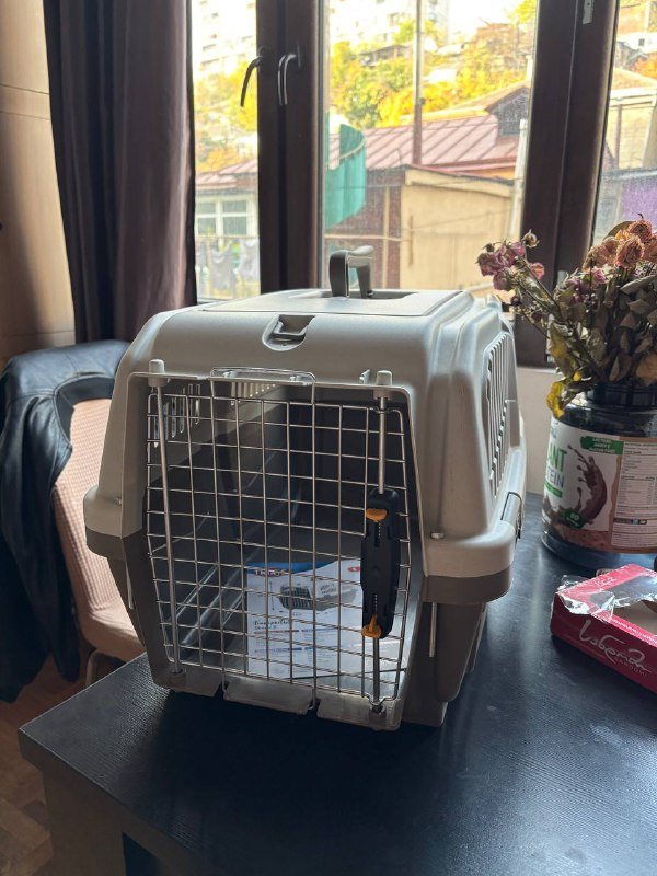 Переноска для кошек и маленьких собак Skudo 3