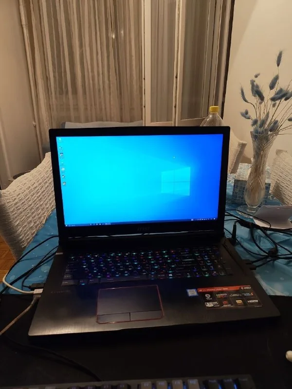 Ноутбук MSI GE73 Raider RGB 8RE 1