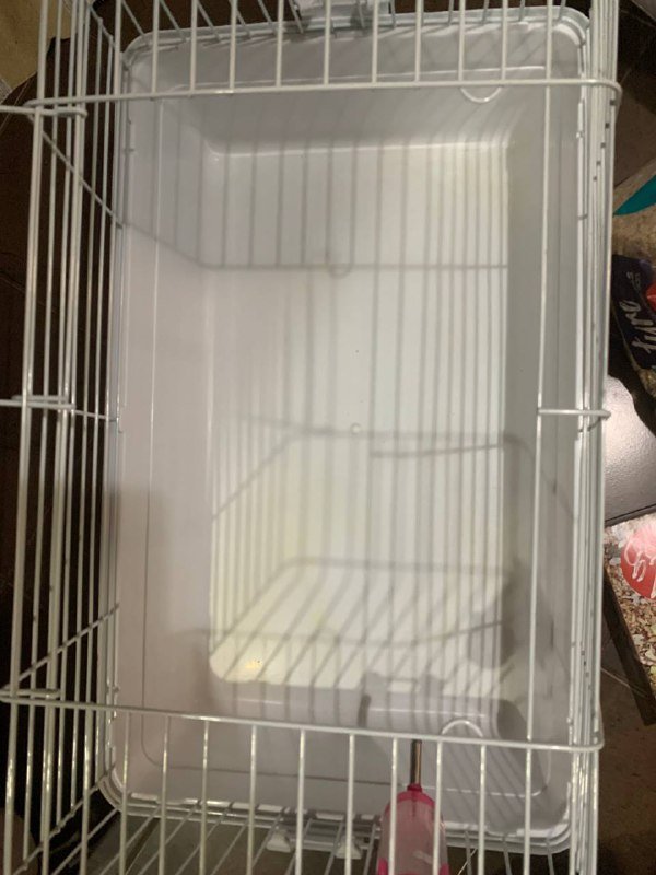 Клетка для хомяка или морской свинки с припасами 4