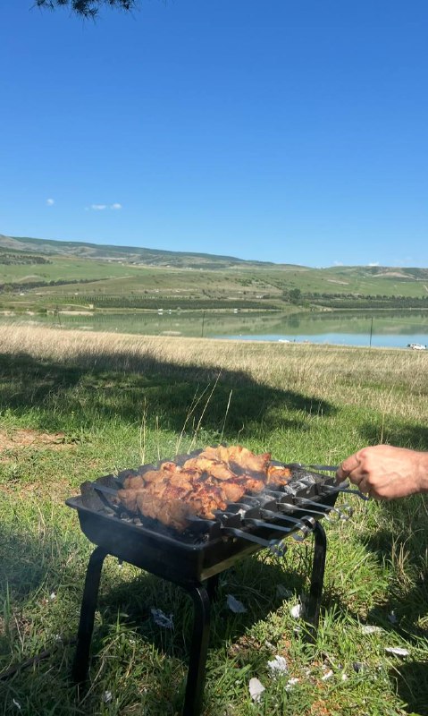 Мангал с сеточкой и шампурами