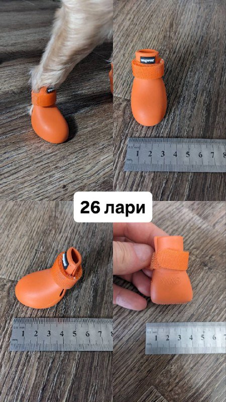Обувь и носки для маленькой собаки 2