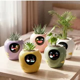 Умный горшок для цветов 5