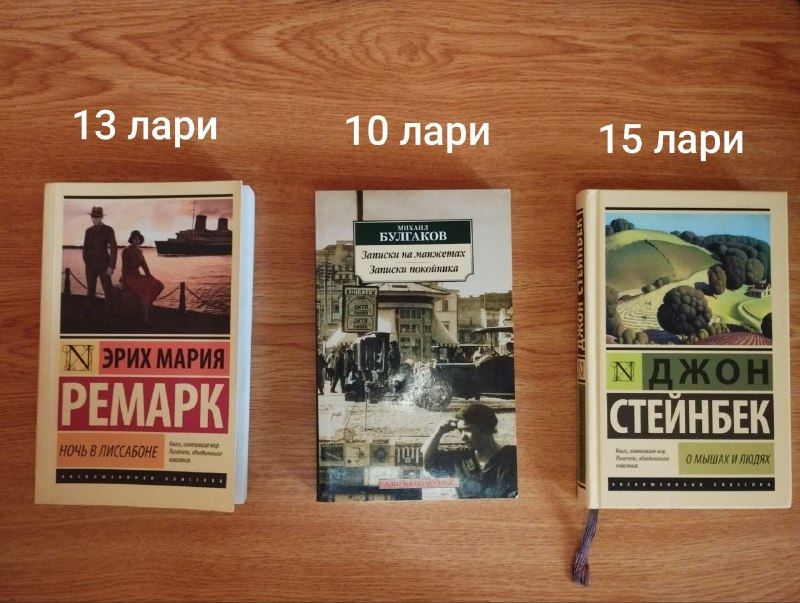 Книги: Ночь в Лиссабоне, Записки на манжетах, О мышах и людях, Пикник на обочине, Феномены мозга, Хищные вещи века, Рождественские каникулы, Пятая гора, Степной волк