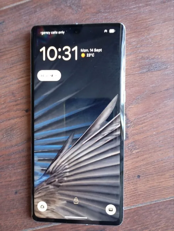 Google Pixel 7 Pro 1