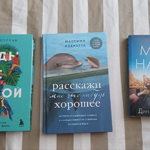 Годы с пумой, Расскажи мне что-нибудь хорошее, Мир Налы