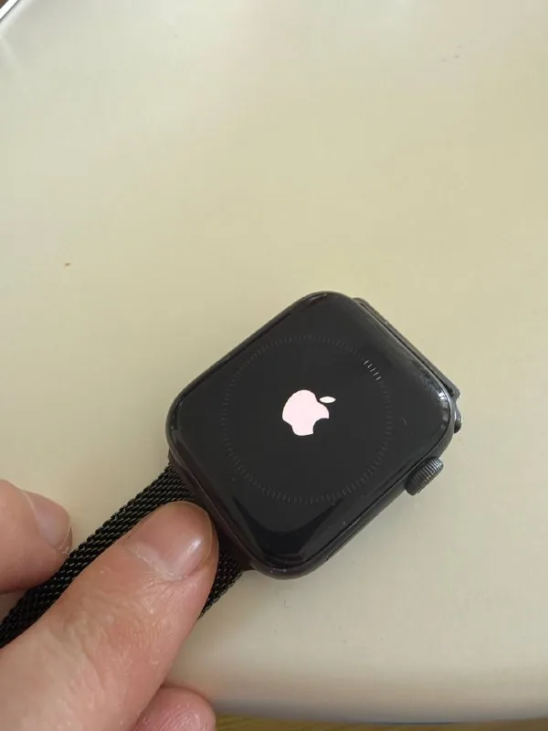 Apple Watch SE 44мм 1