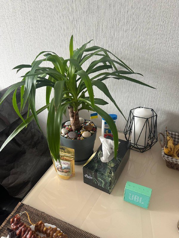 Кастрюля, кухонные инструменты, средство для очищения пор, растения 5