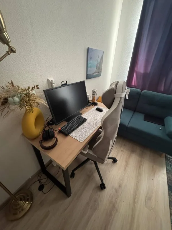 Игровой монитор BenQ Zowie XL2746K 1