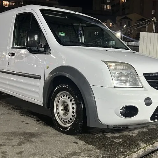 Ford Transit Connect 2010