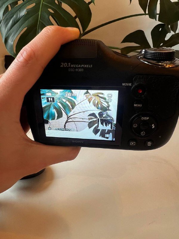 Фотоаппарат Sony Cyber-Shot DSC-H300