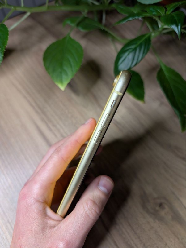 IPhone XR 128 ГБ жёлтого цвета 3