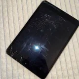 iPad mini 2 4