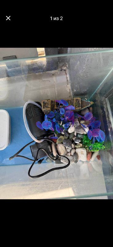 Планшет samsung, мышь apple, клавиатура apple, аквариум 20 л, экшн камера sony, увлажнитель xiaomi