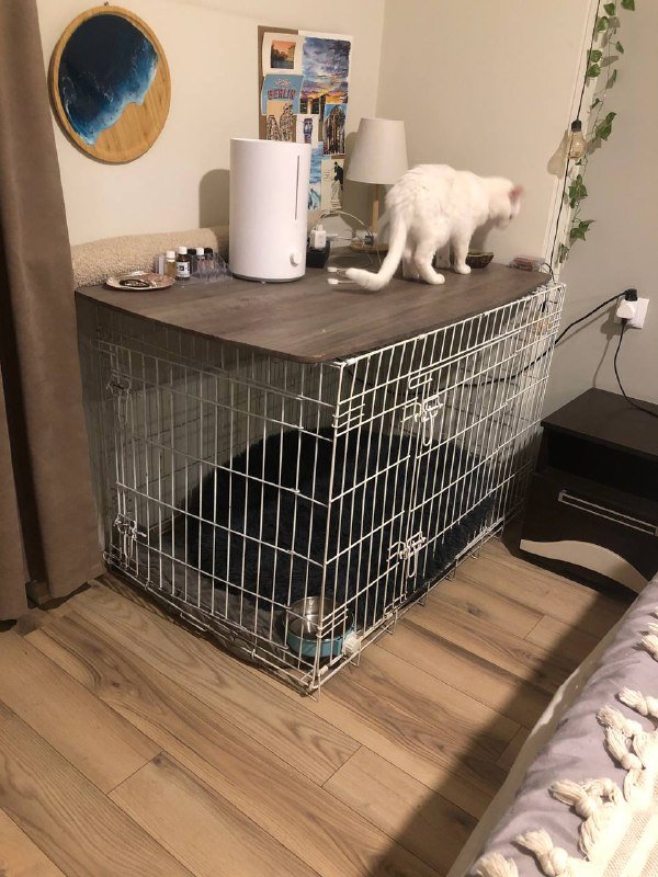 Клетка для большой собаки со столешницей, поилкой и лежанкой 2