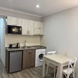 Студия в аренду помесячно 3