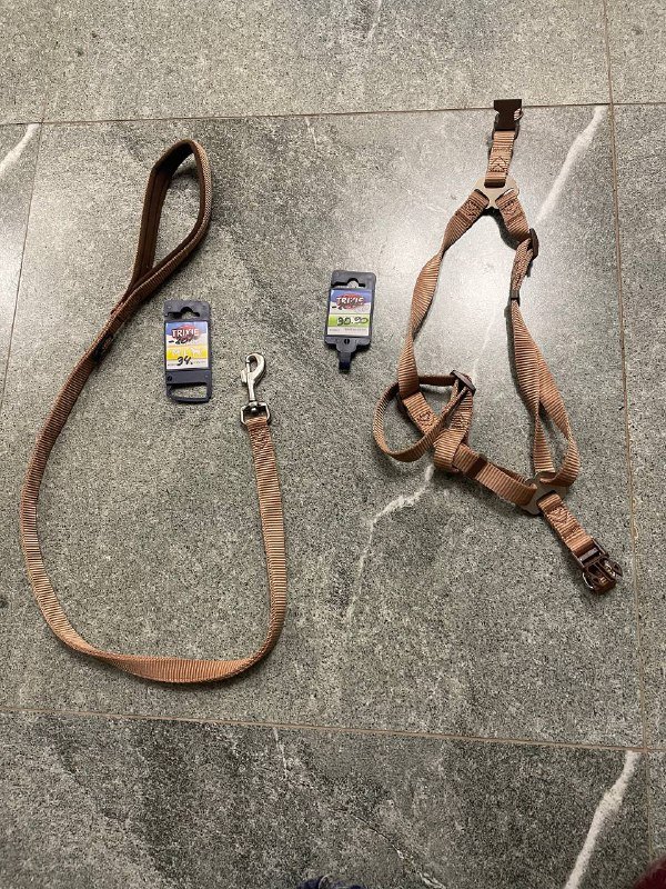 Поводок и шлейка для собаки размер М