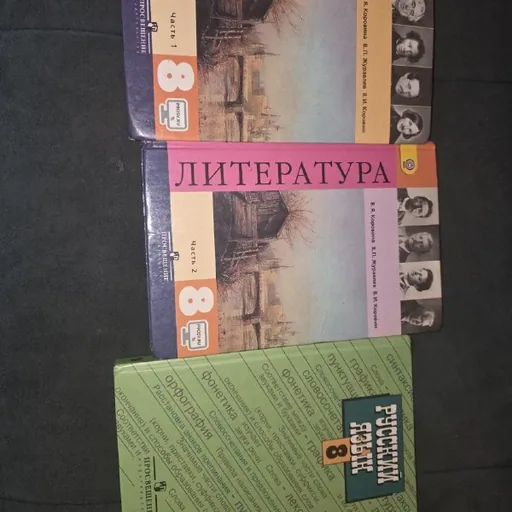 Учебники по русскому языку и литературе