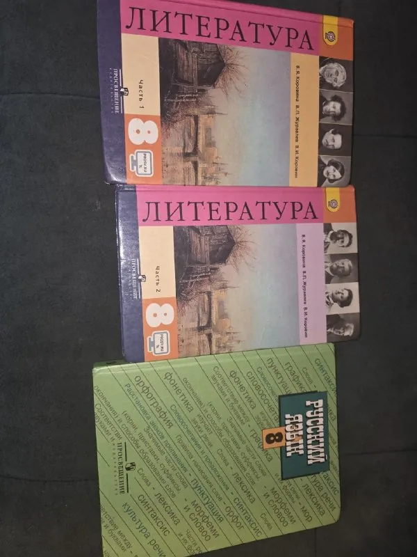 Учебники по русскому языку и литературе