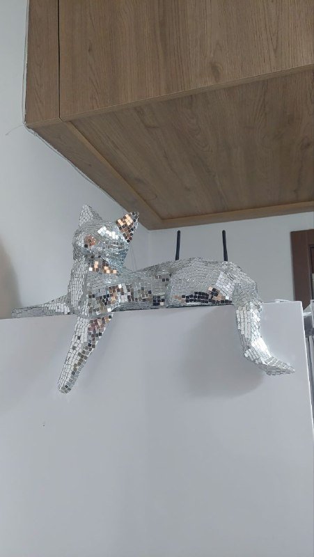 Зеркальная фигура котика