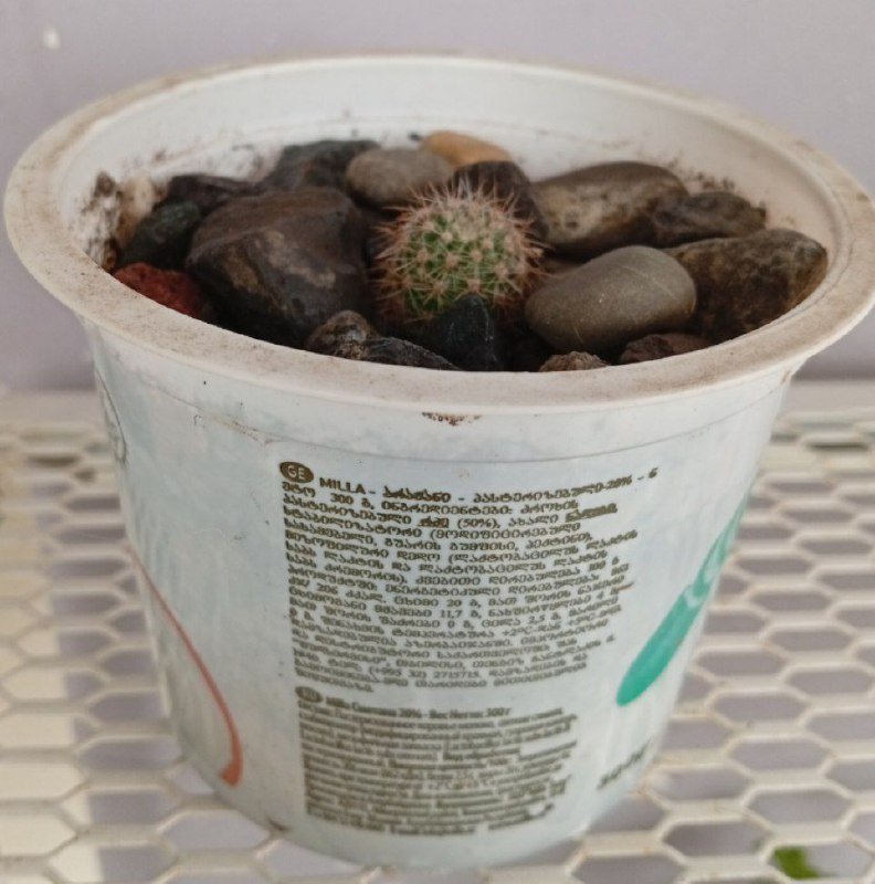 Майка для собаки, комбинезон, ботинки, игрушка-дозатор, держатель бирки 10