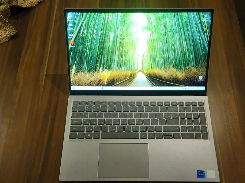 Ноутбук Dell P106F 1