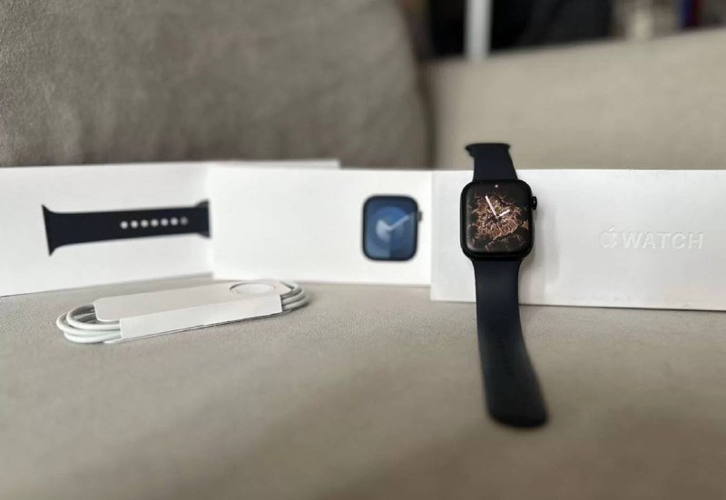 Смарт-часы Apple Watch Series 9 45 mm