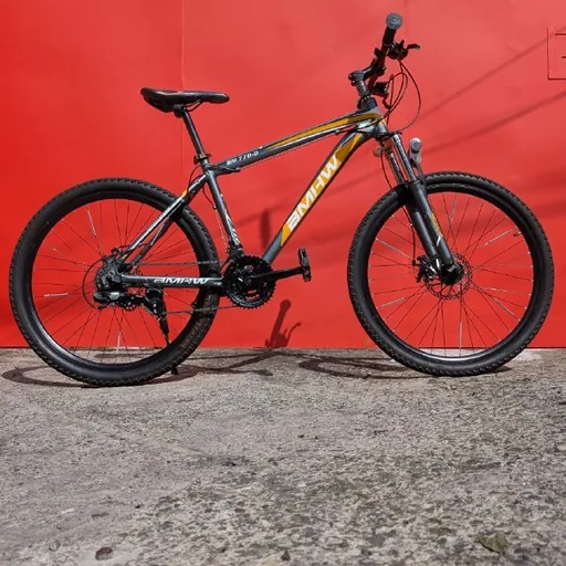 Велосипед BMHW 770-D