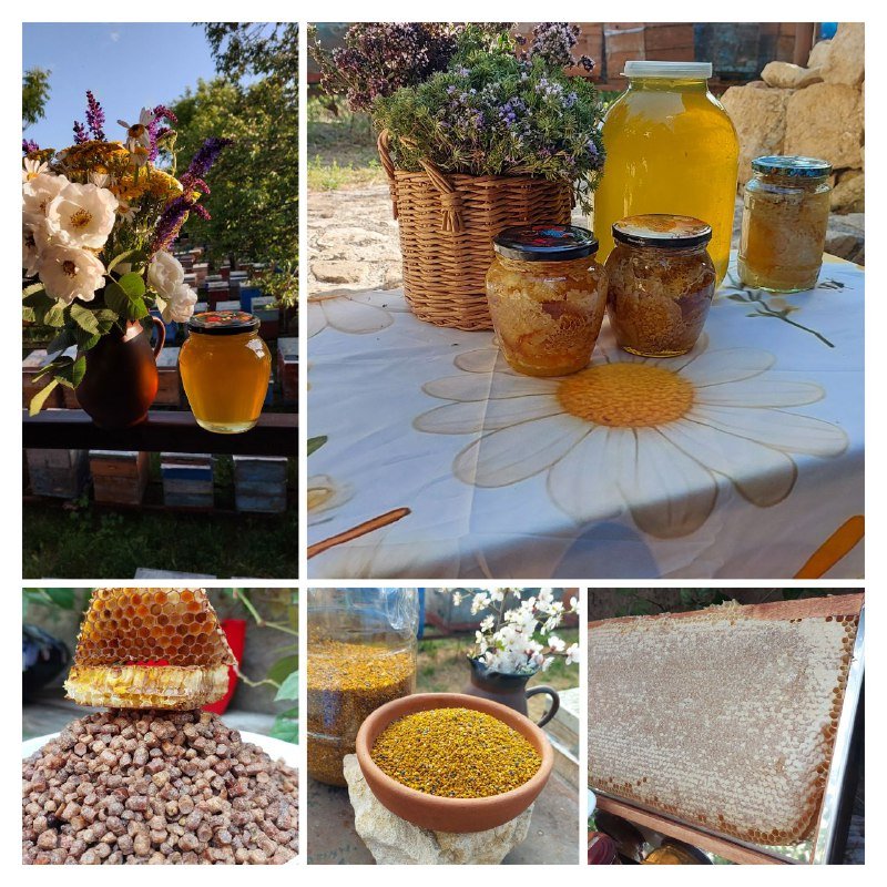 Пчелиная продукция: мёд, забрус, перга, пыльца, маточное молочко, воск, уксус, медовая водка 4