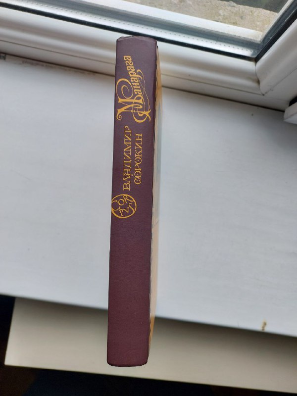 Книга Владимира Сорокина 4