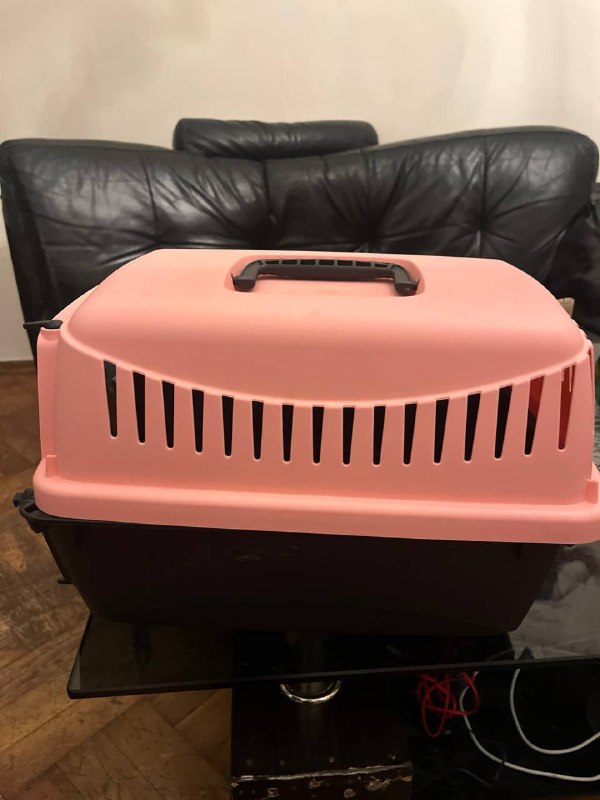 Переноска для кошки для самолета 5