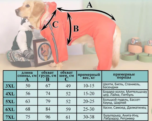 Дождевик с капюшоном для средних/больших собак 7ХЛ 3
