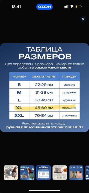 Трусы для собак на средний размер, 3 штуки 4