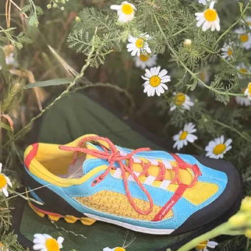 Кроссовки La Sportiva