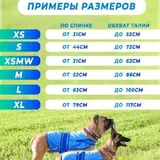 Охлаждающий жилет для собак 4