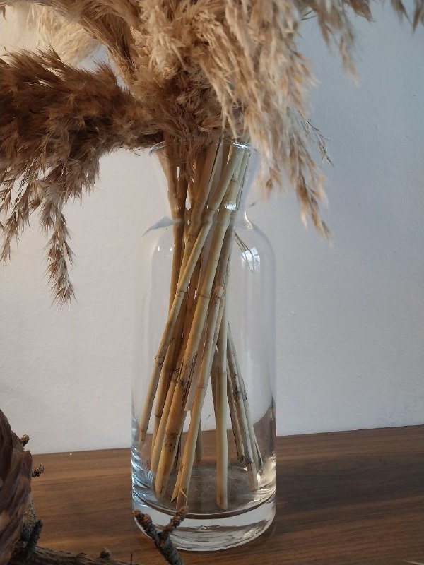 Пампасная трава с вазой, шишки гималайского кедра 3