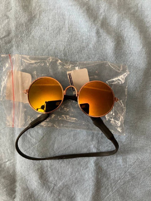 Очки для собак мелких пород