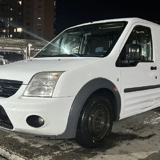 Ford Transit Connect, 2010