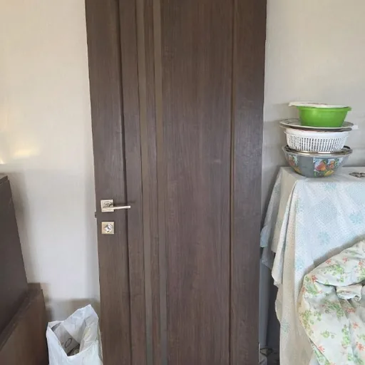 Միջսենյակային դուռ