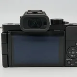 Panasonic Lumix DC-G100 с объективом 25mm f/1.7 10