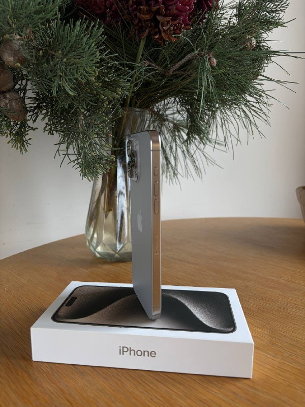 iPhone 15 Pro Max 256 GB серый титан 4