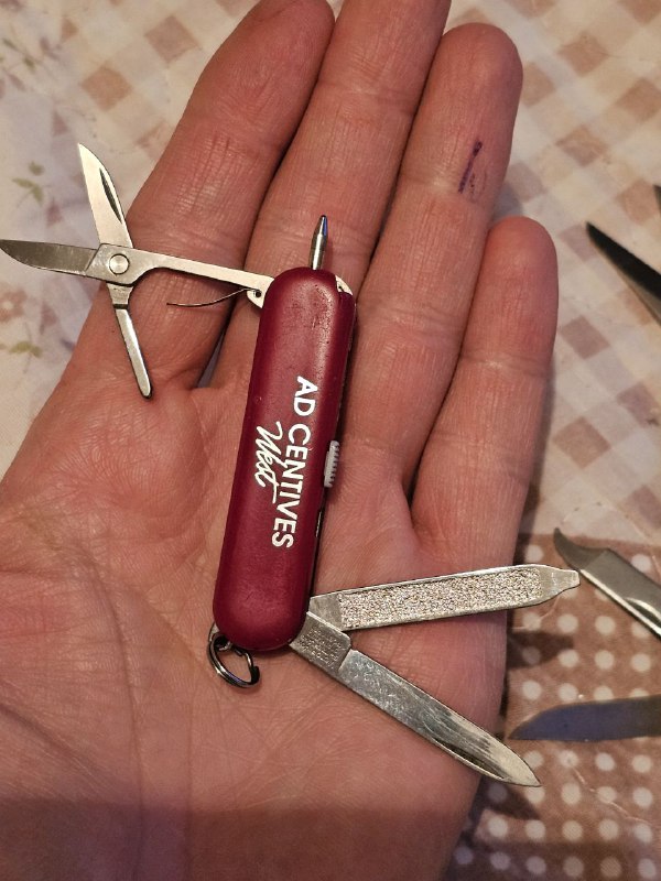 Брелки Viktorinox 3