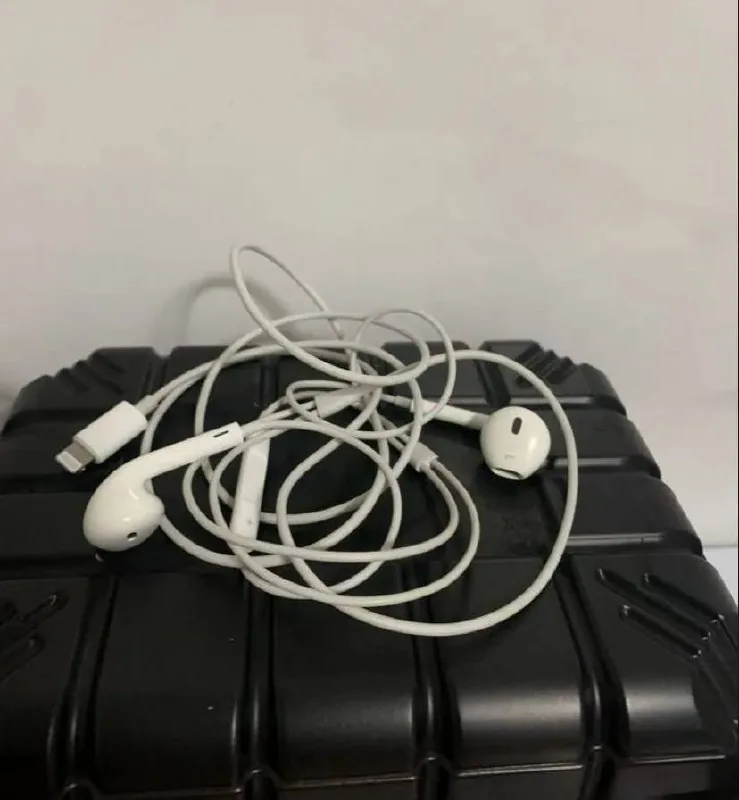Проводные наушники Apple EarPods Lightning