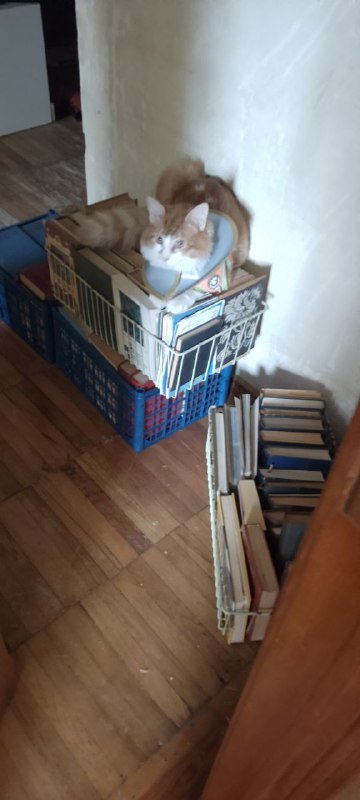 4 ящика книг советской и зарубежной литературы