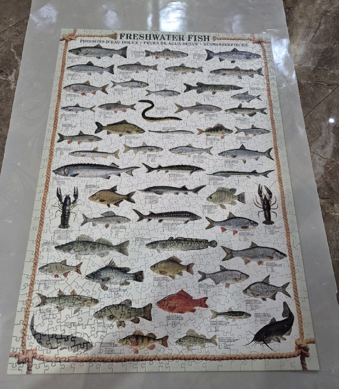 Пазл Eurographics Freshwater fish 1000 элементов 5