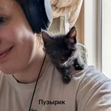 Котята Пухля, Богатырь и Пузырик 8