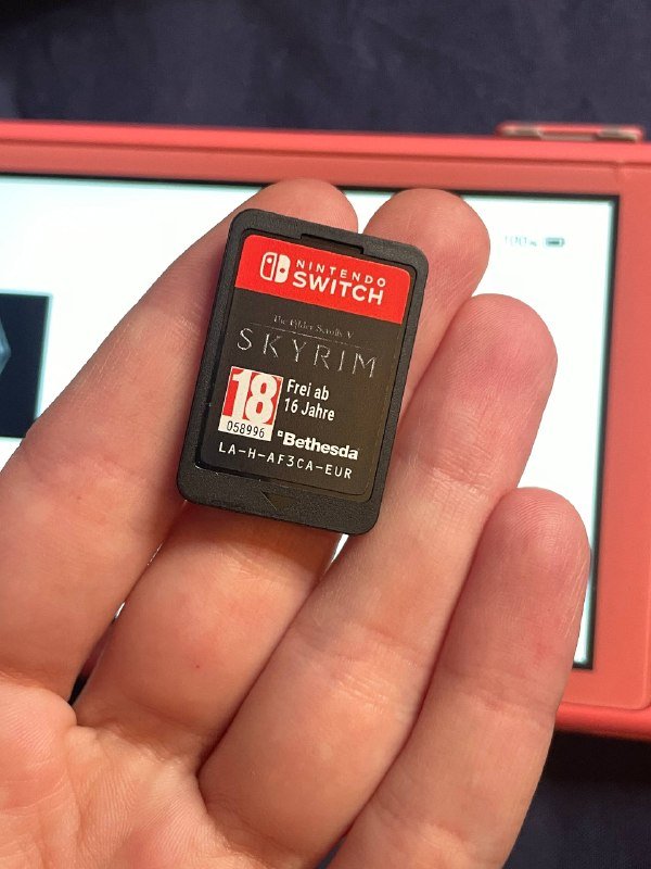 Nintendo Switch Light, игра Skyrim, чехол, насадки, зарядка 6