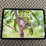 iPad Pro 11 M4 256GB Wi‑Fi, Apple Pencil Pro 1