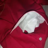 Мужские шорты Dickies 6