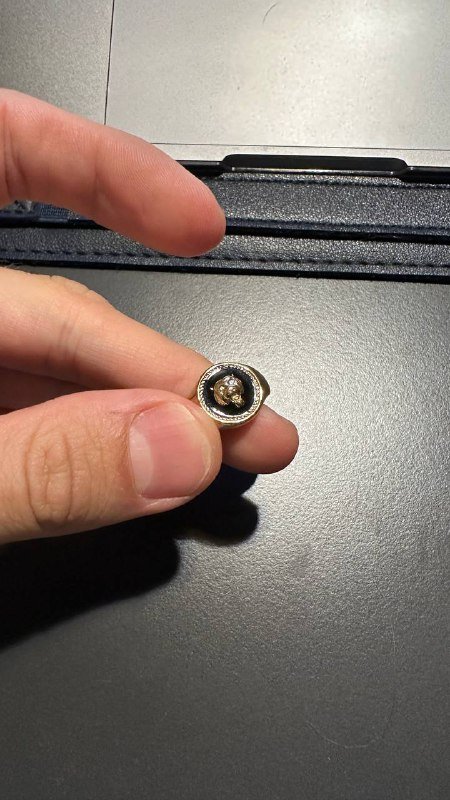 4 чехла для iPhone 14 pro max, мужское кольцо с львом 7