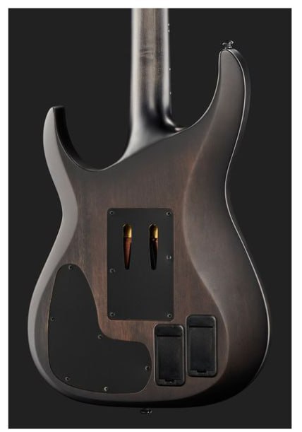 Электрогитара SCHECTER BANSHEE GT FR SCB 2